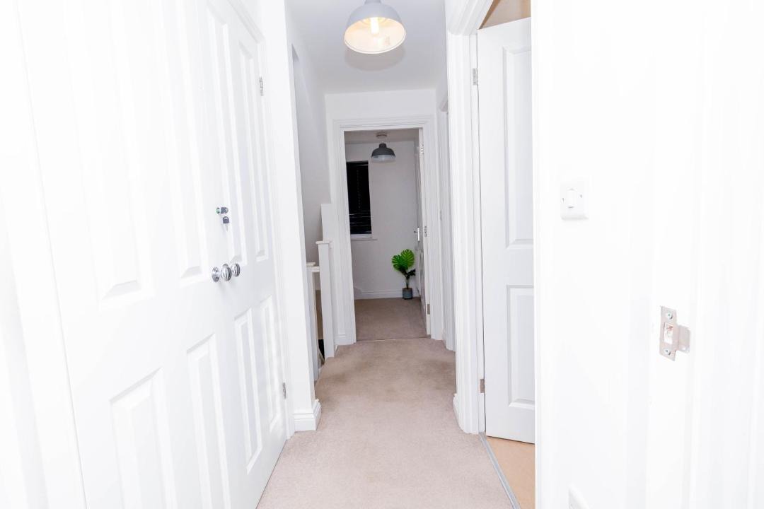 Photo of Others in Rugby