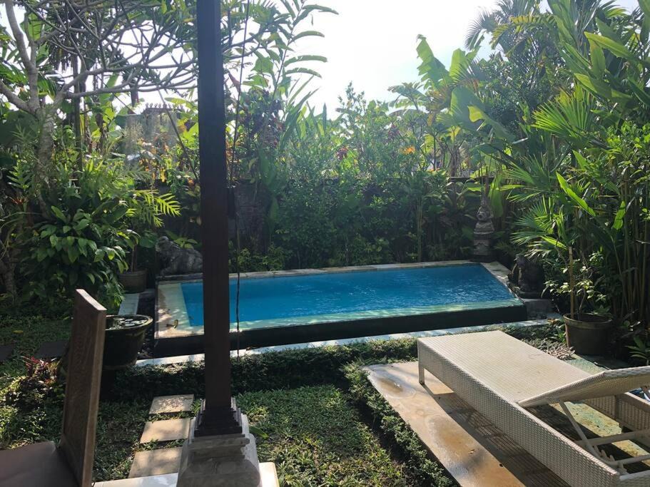 Photo of Others in Sayan