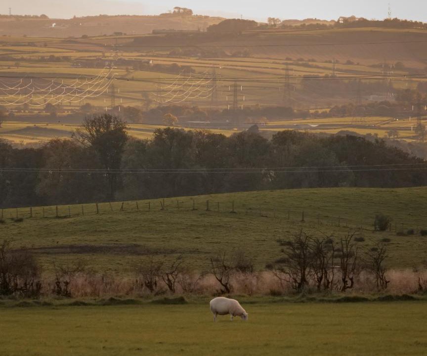 Photo of Others in Newmilns