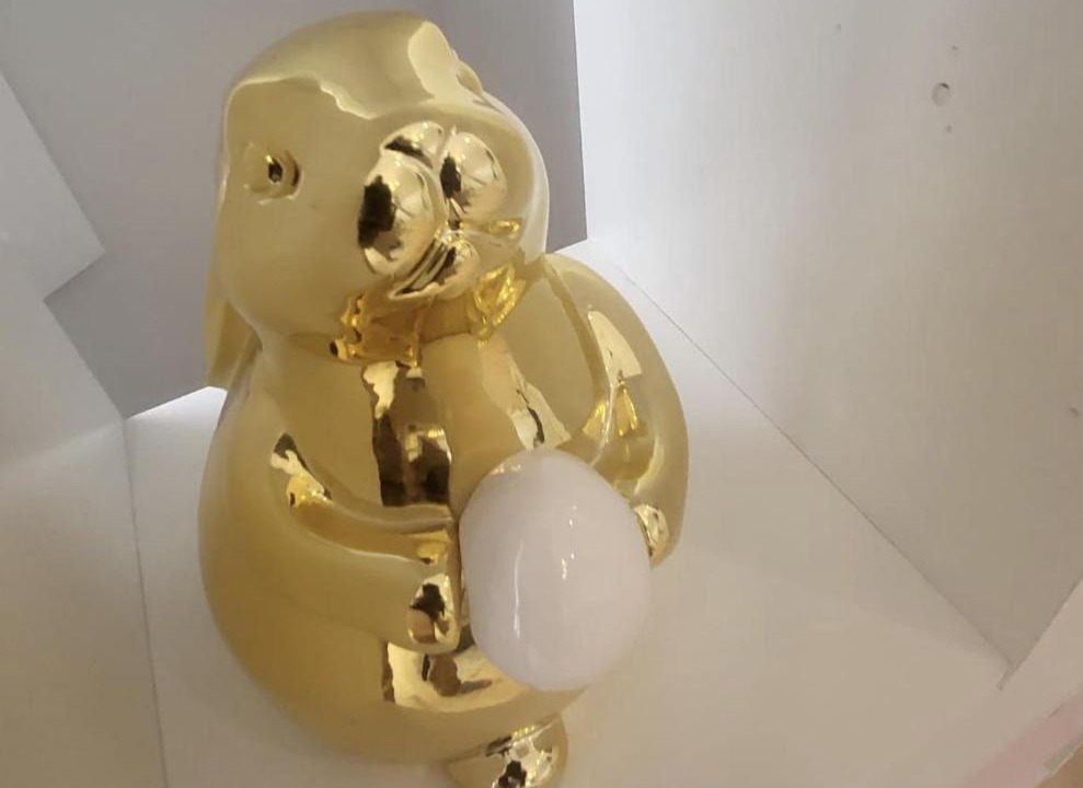 Photo of Others in Ottawa Division