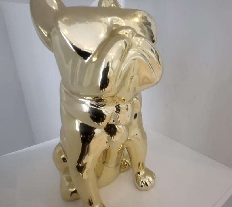 Photo of Others in Ottawa Division