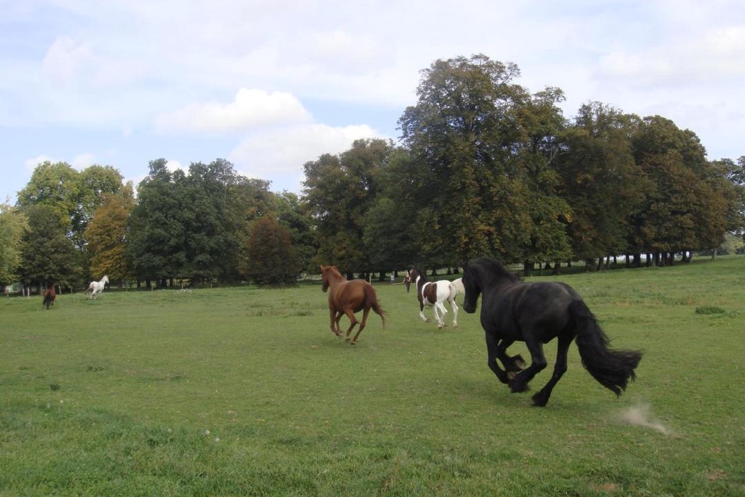 Photo of Others in Meru