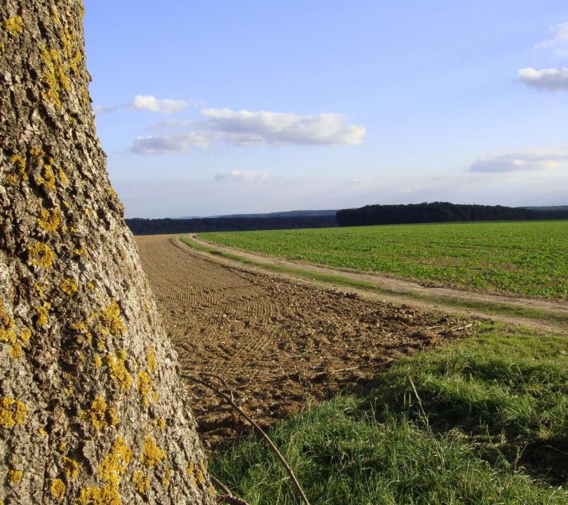 Photo of Others in Meru