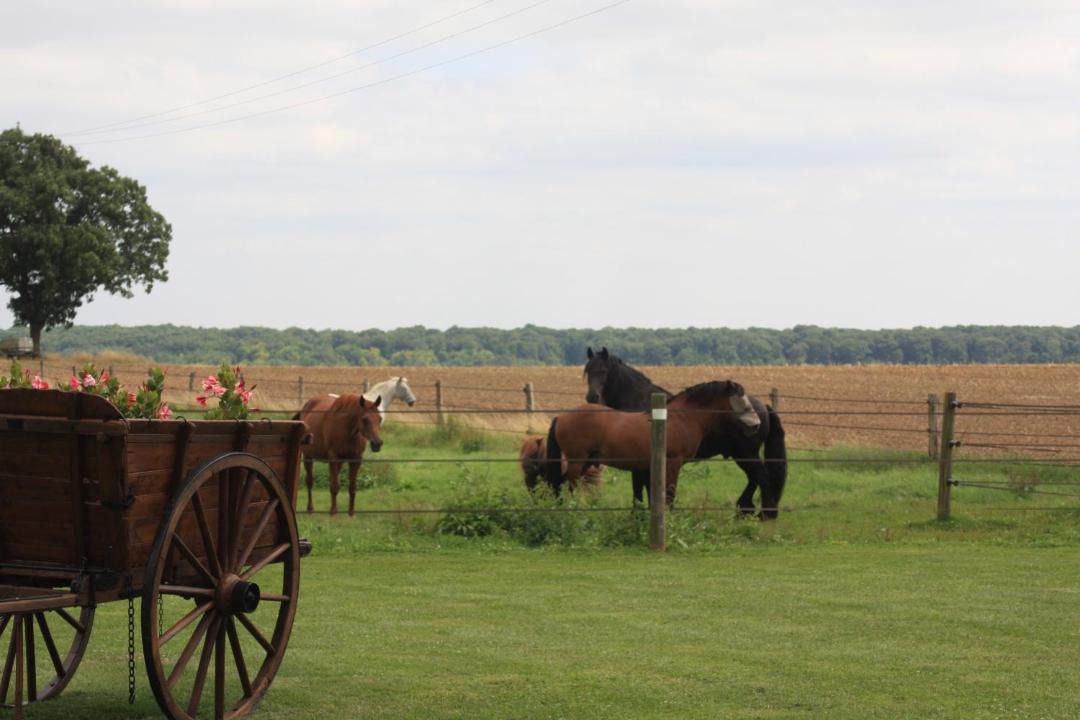 Photo of Others in Meru