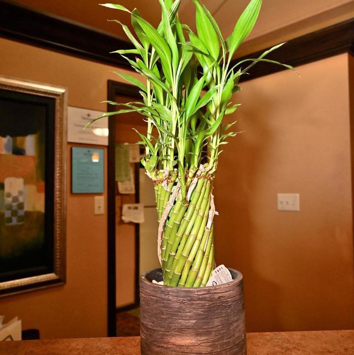 Photo of Others in Newport