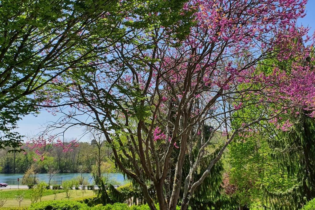 Photo of Others in Boissise-la-Bertrand