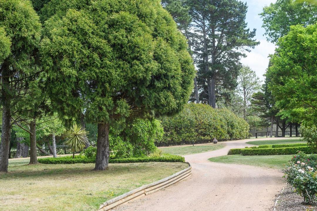 Photo of Others in Moss Vale