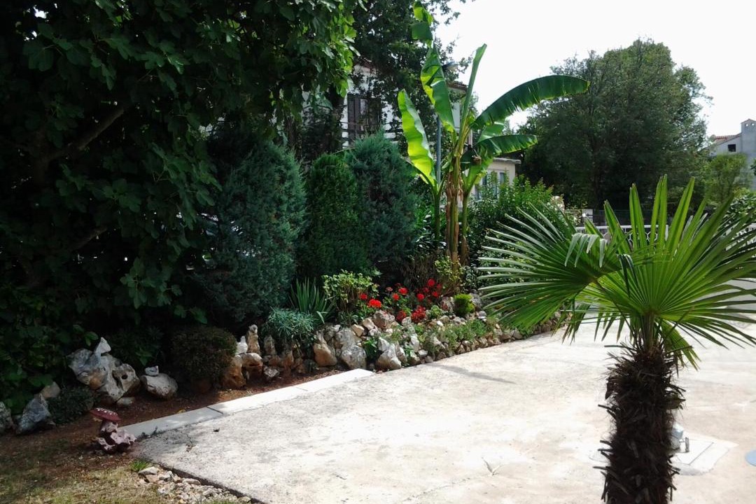 Photo of Outdoor in Bogovici
