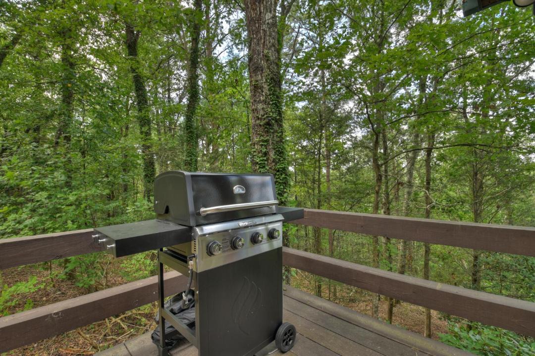 Photo of Others in Mineral Bluff