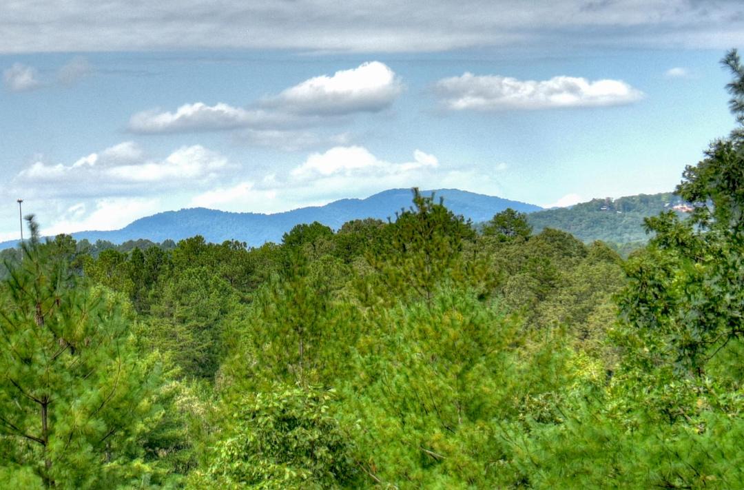 Photo of Others in Mineral Bluff