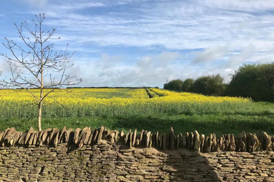 Photo of Others in Carterton