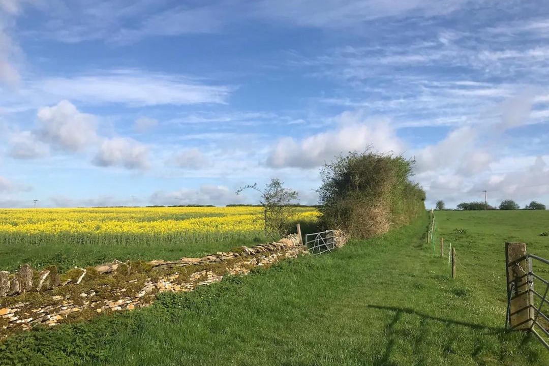 Photo of Others in Carterton