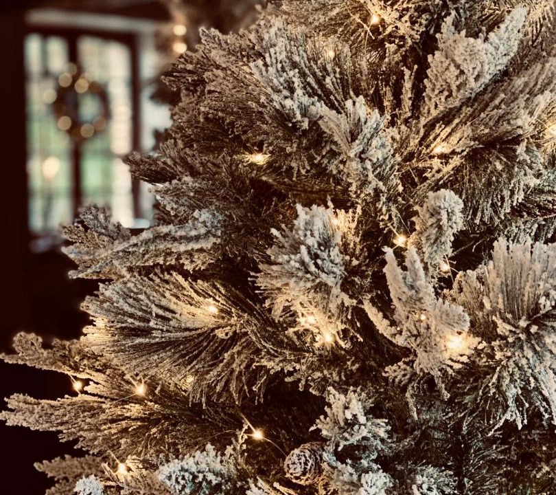 Photo of Others in Marnay-sur-Seine