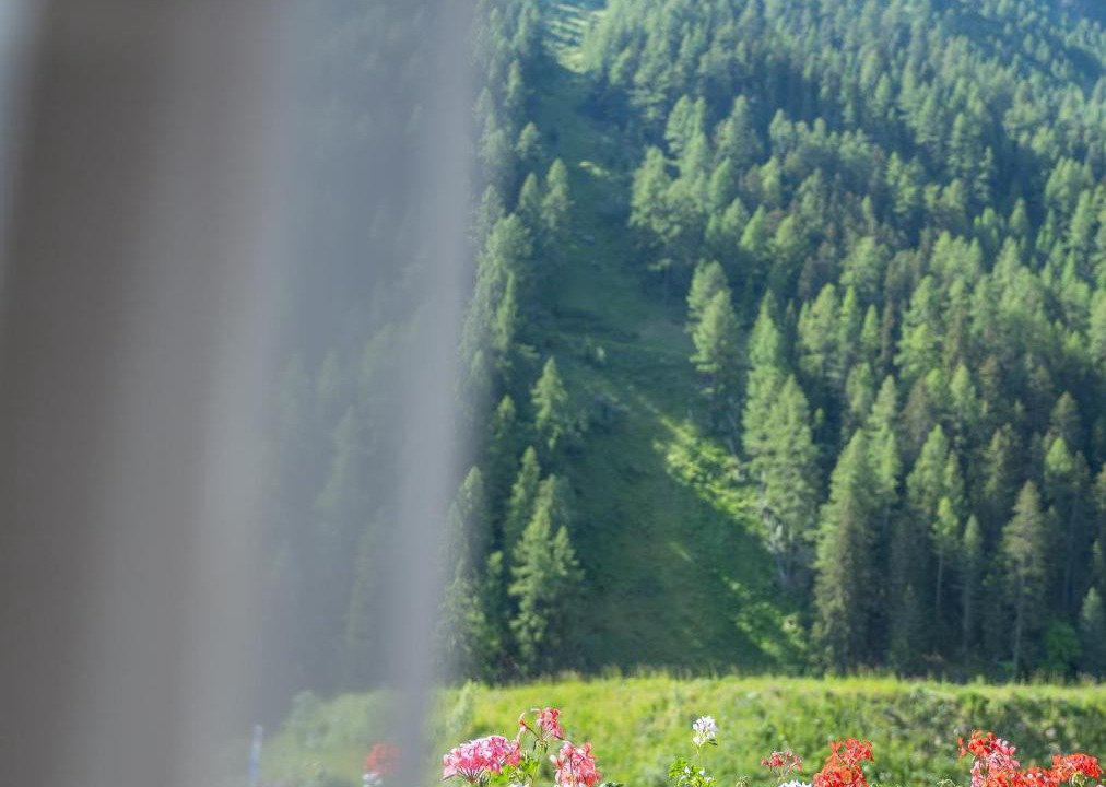 Photo of Others in Grimentz