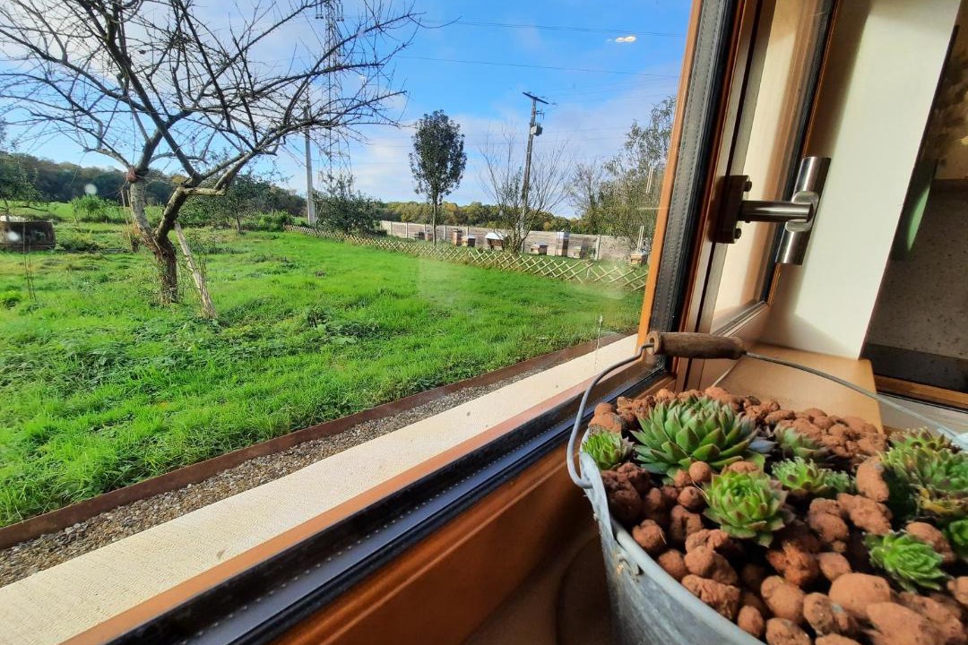 Photo of Others in Sainte-Marguerite-sur-Duclair