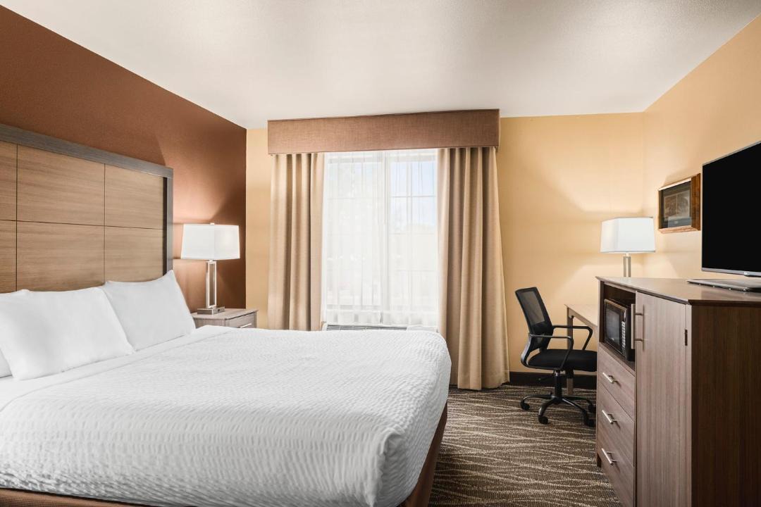 Photo of Others in Hamilton