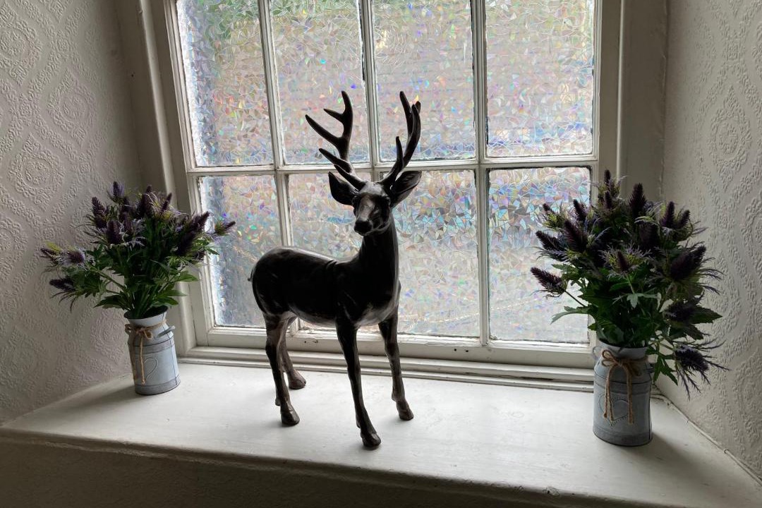 Photo of Others in Arrochar