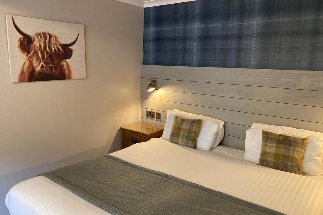 Photo of Others in Arrochar