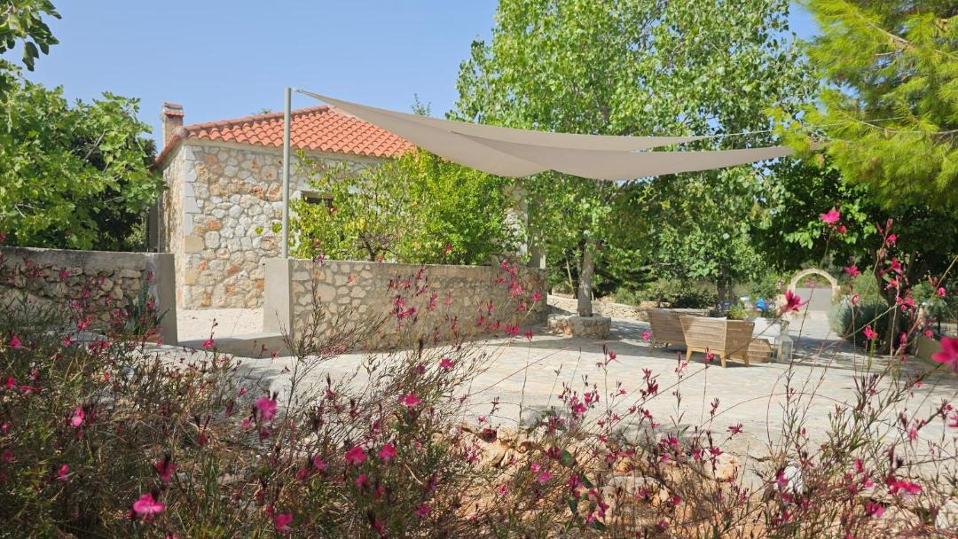 Photo of Others in Pesada