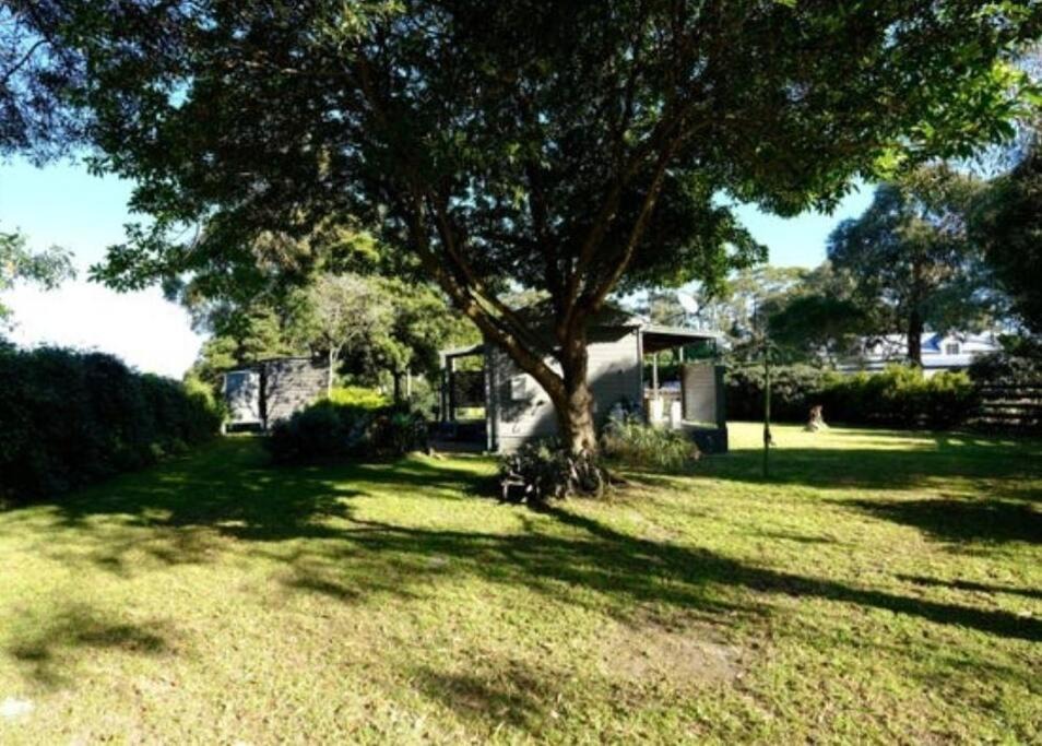 Photo of Others in Marlo