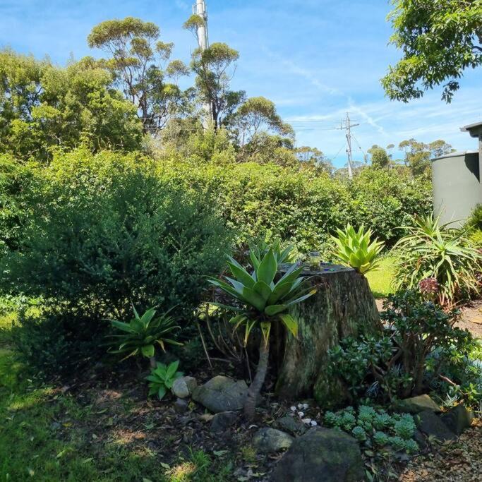 Photo of Others in Marlo