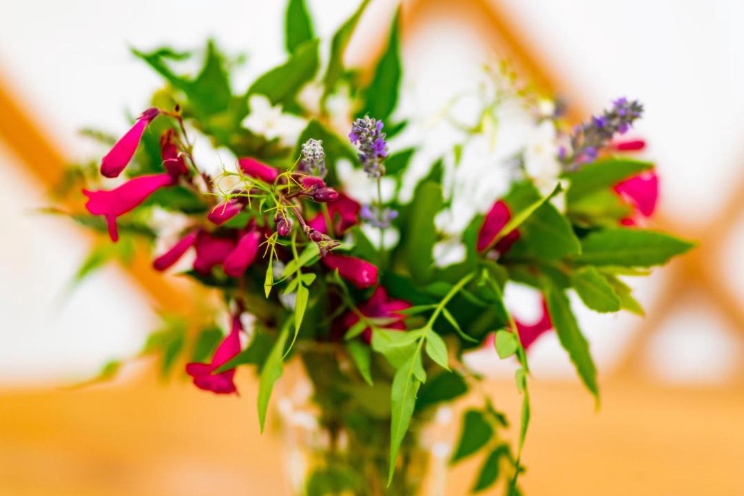 Photo of Others in Bridport