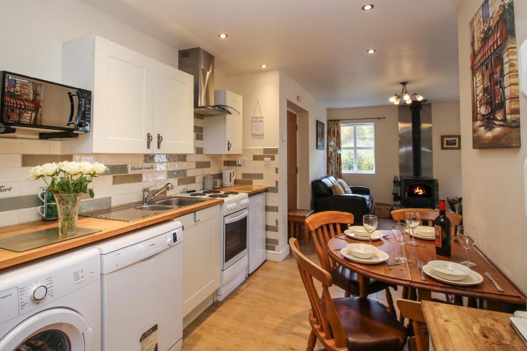 Photo of Others in Mold