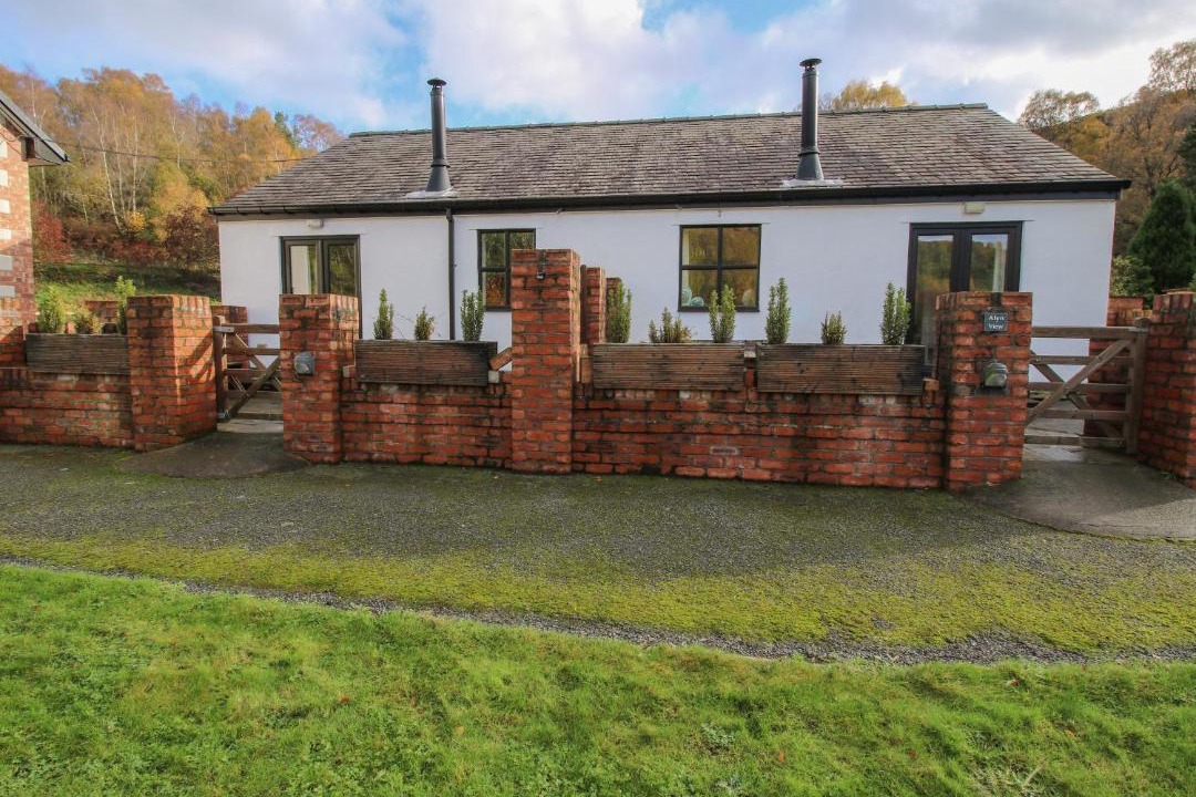 Photo of Others in Mold