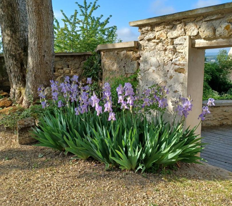 Photo of Others in Vaux-sur-Seine