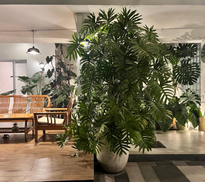 Photo of Others in Bandung