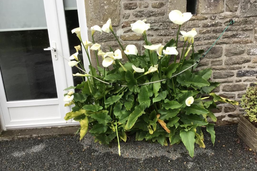 Photo of Others in Fleury