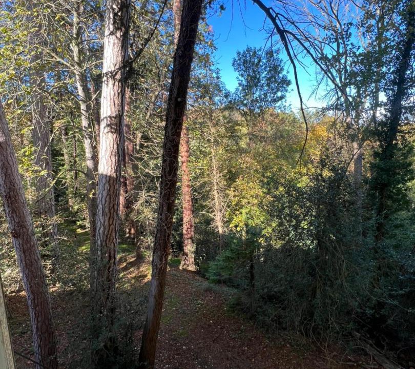 Photo of Others in La Fouillouse