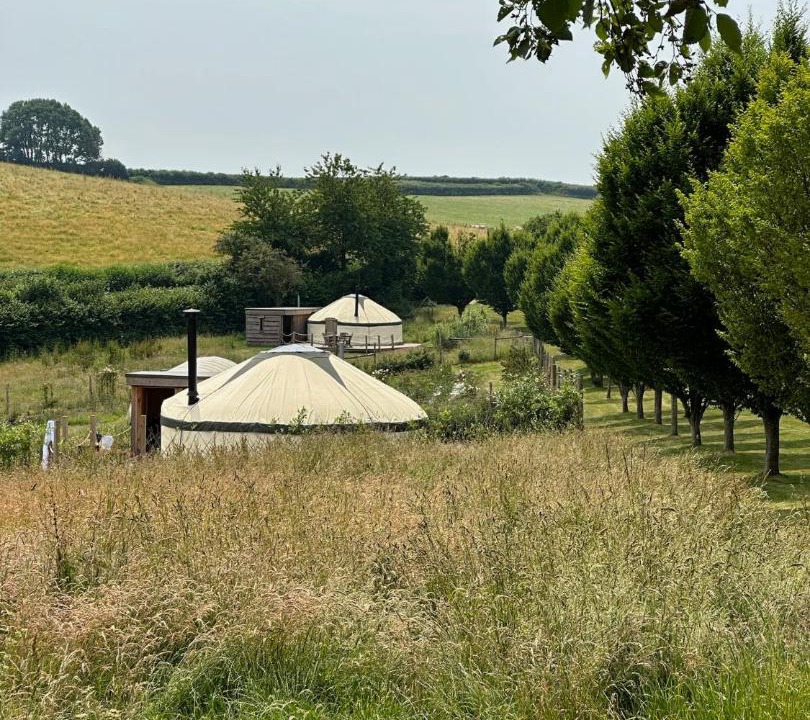 Photo of Others in Bridport