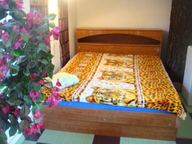 Photo of Others in Kurortny District