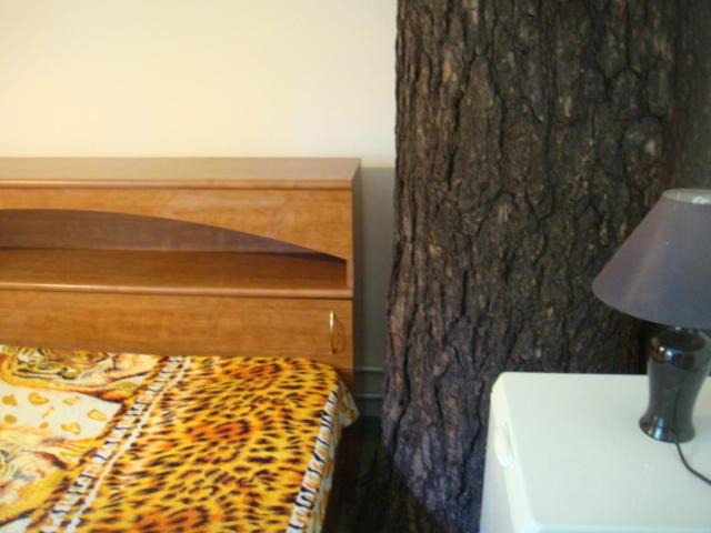 Photo of Bathroom in Kurortny District