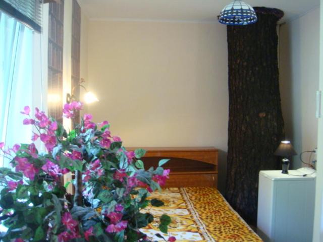 Photo of Others in Kurortny District