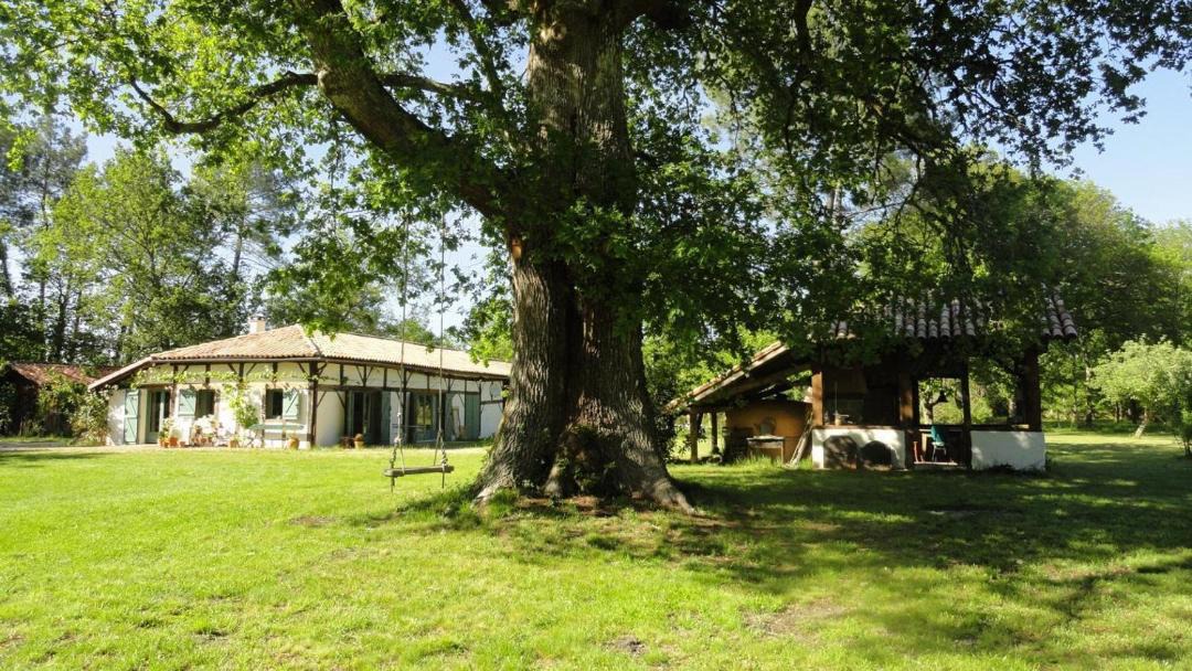 Photo of Buildings in Luglon