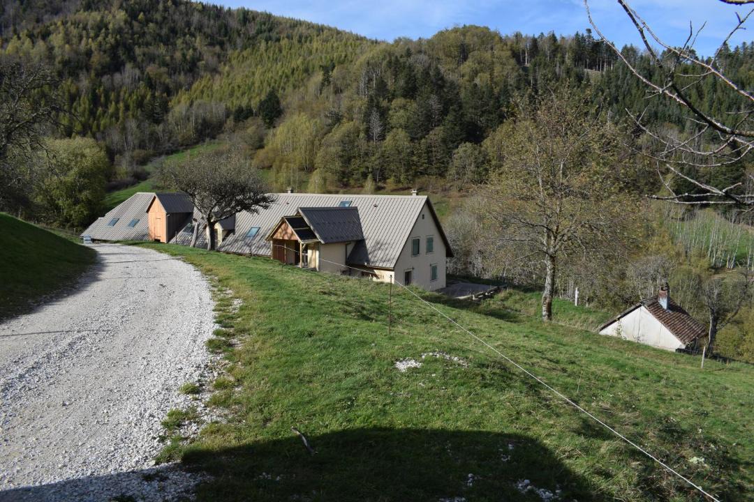 Photo of Others in Dolleren