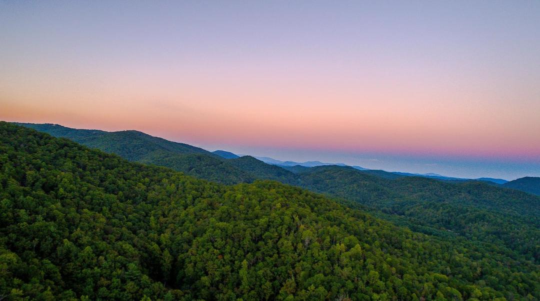 Photo of Others in Pisgah Forest