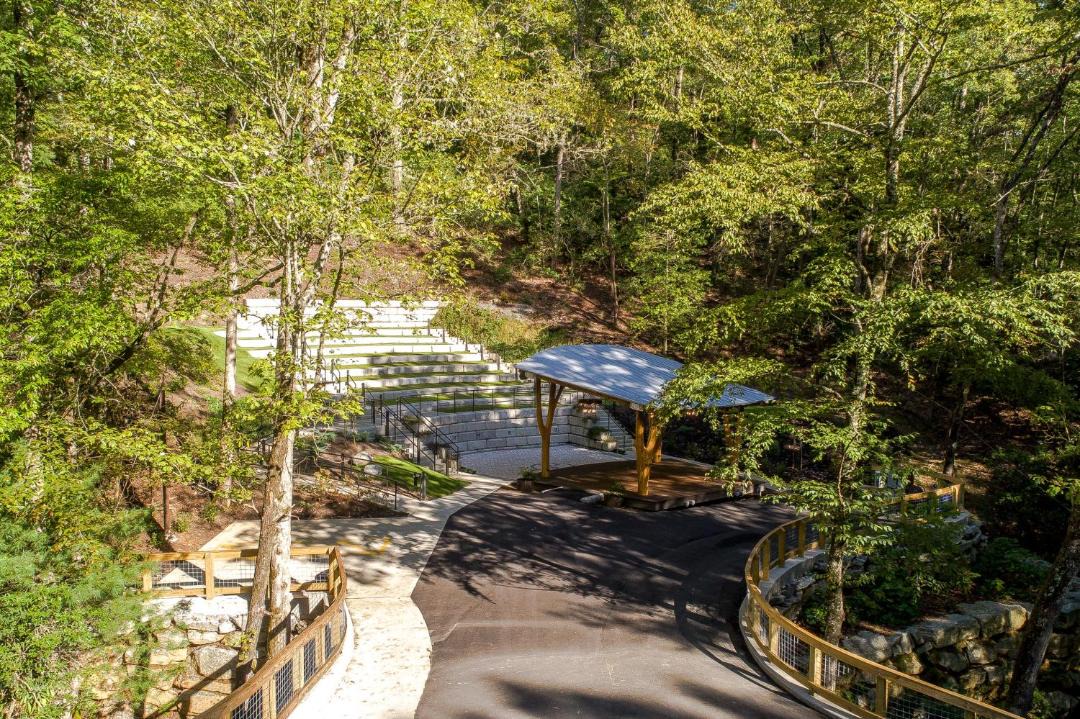 Photo of Others in Pisgah Forest
