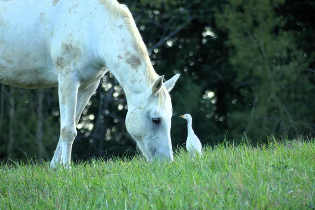 Photo of Others in Pouylebon