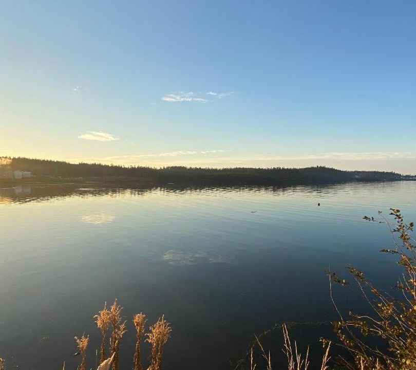 Photo of Others in Blacks Harbour