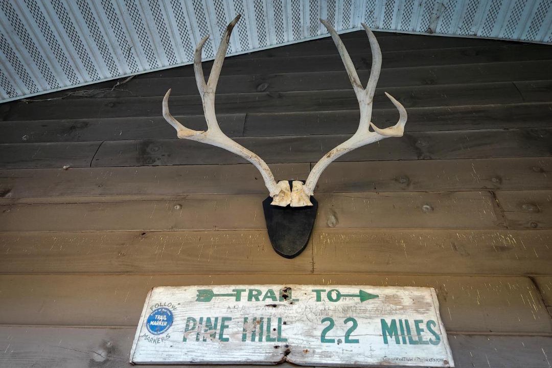 Photo of Others in Pine Hill