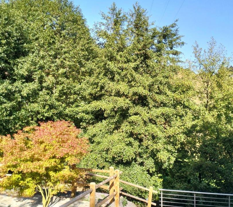 Photo of Others in Lapoutroie