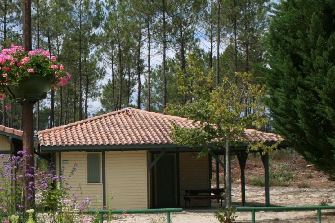 Photo of Others in Brocas