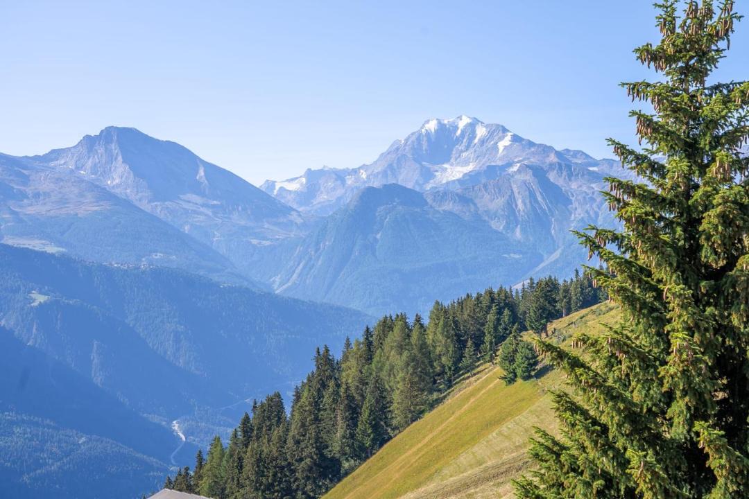 Photo of Others in Riederalp