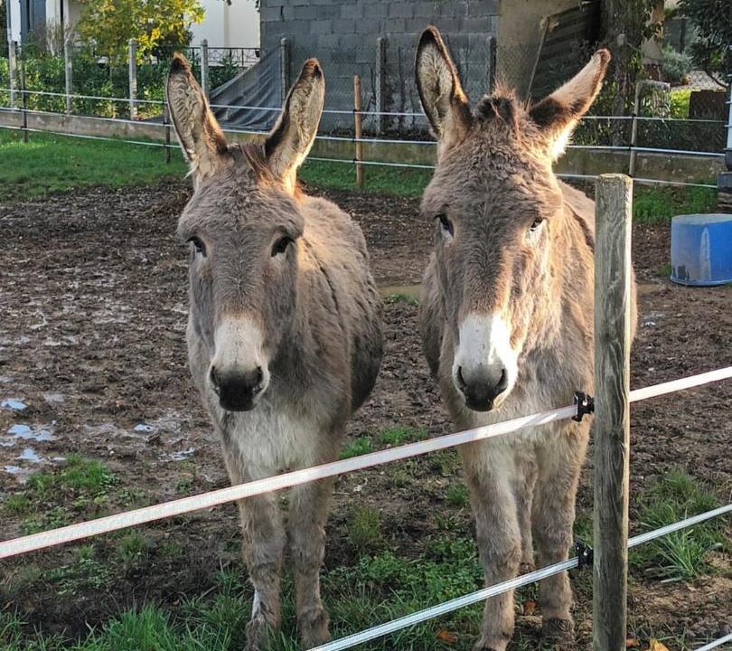 Photo of Others in Mison