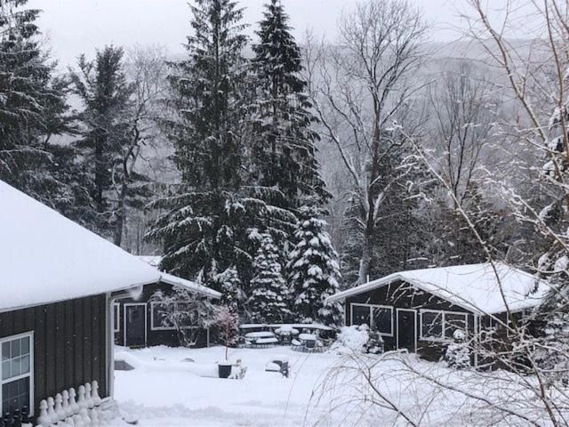 Photo of Others in Pine Hill