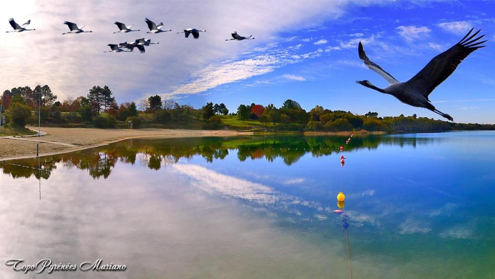 Photo of Others in Morcenx