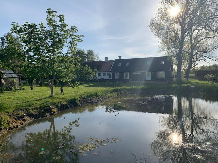 Photo of Outdoor in Vejby